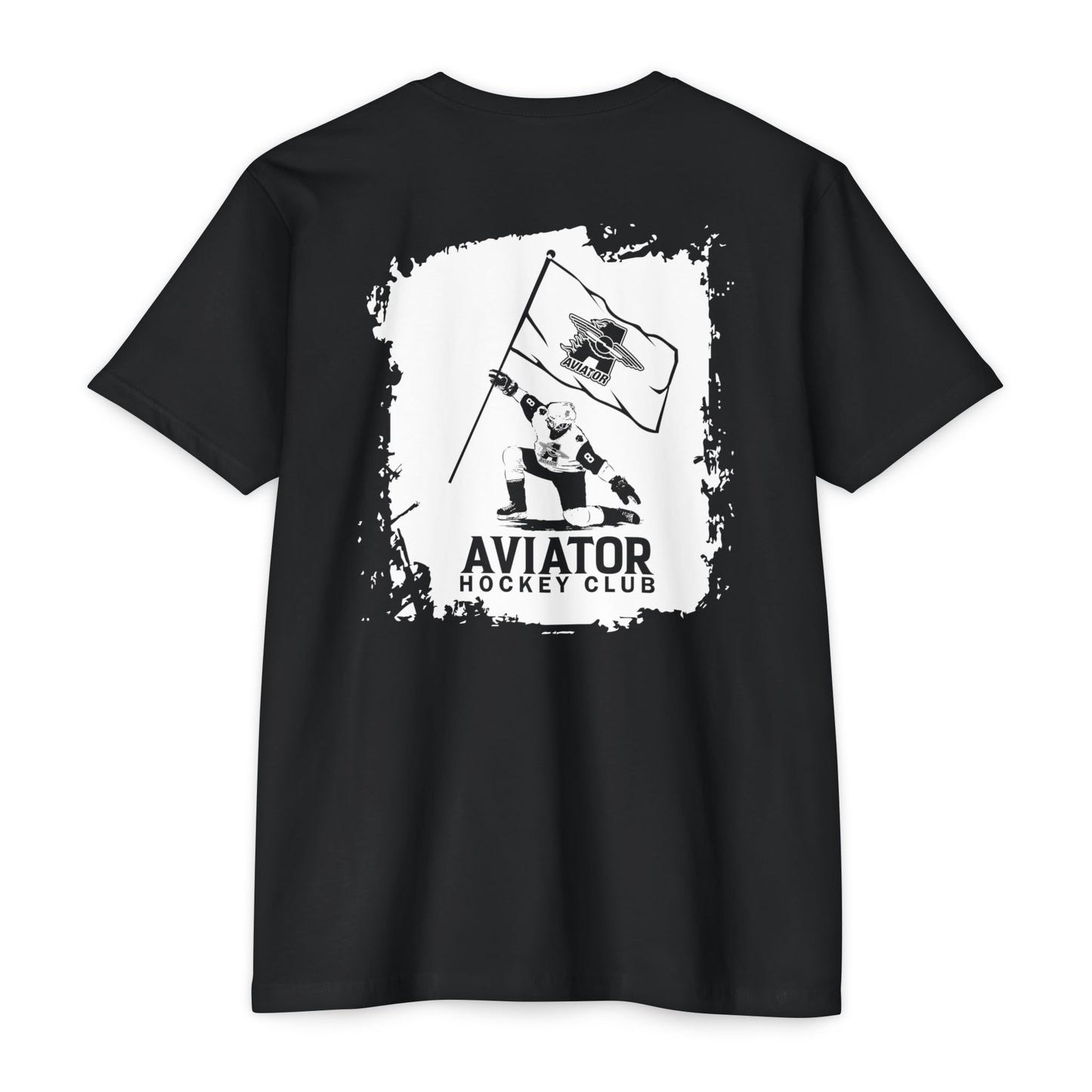 Aviator Skater Flag