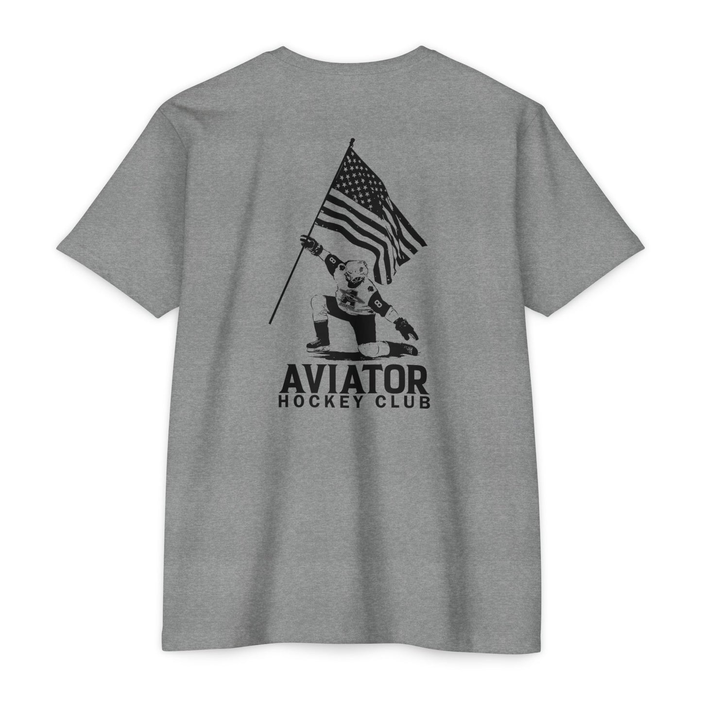 Aviator Skater Flag USA