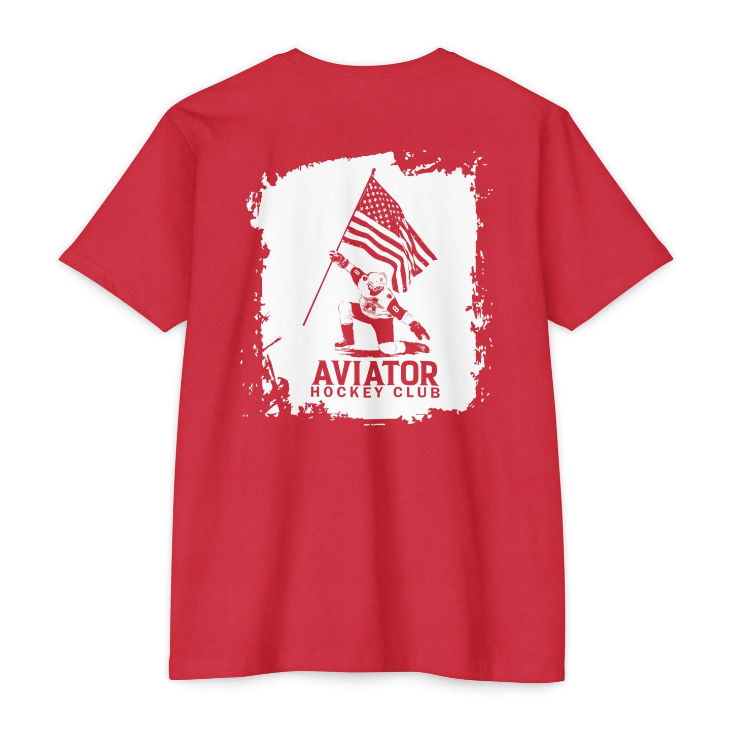 Aviator Skater Flag USA