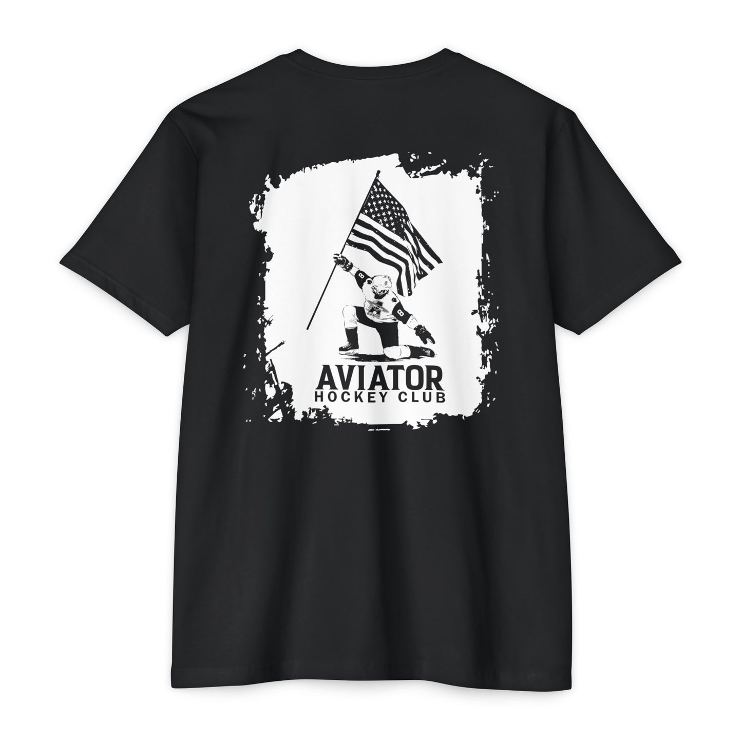 Aviator Skater Flag USA