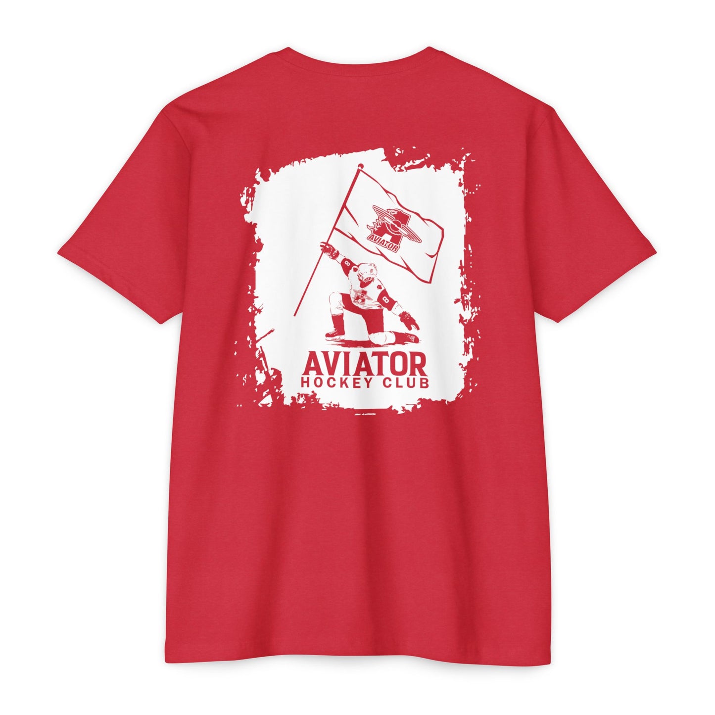 Aviator Skater Flag